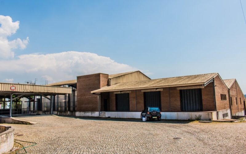 Adega-de-Amarante-22